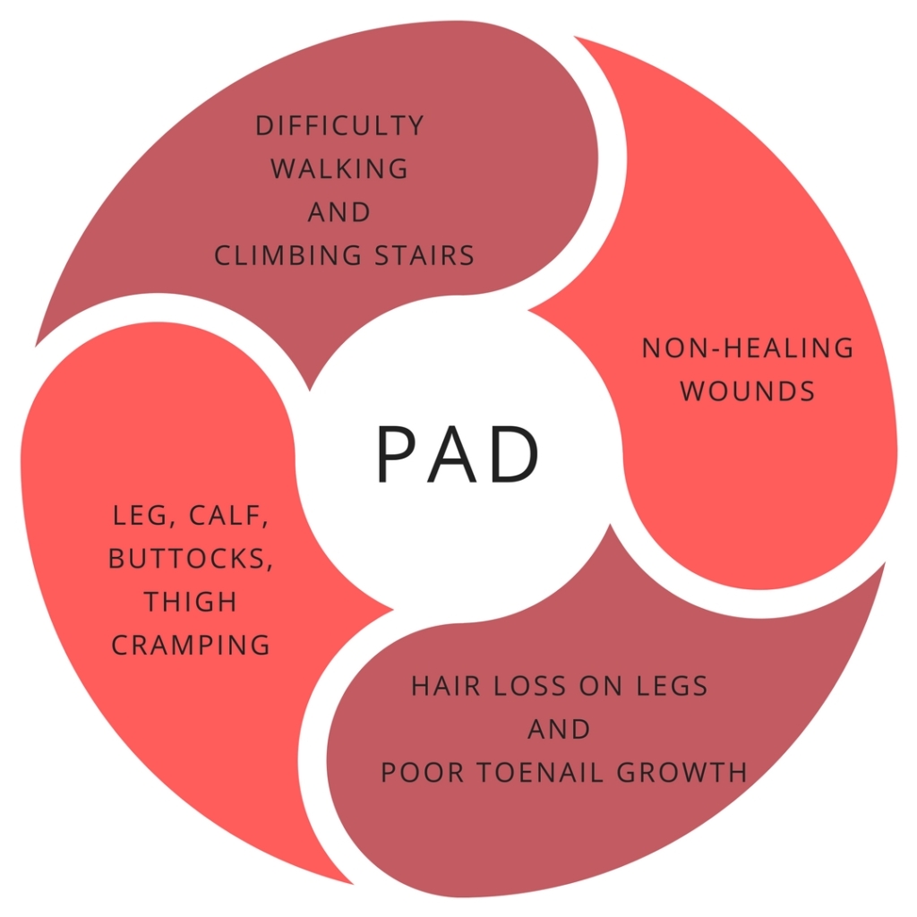 PAD USA Vascular Centers