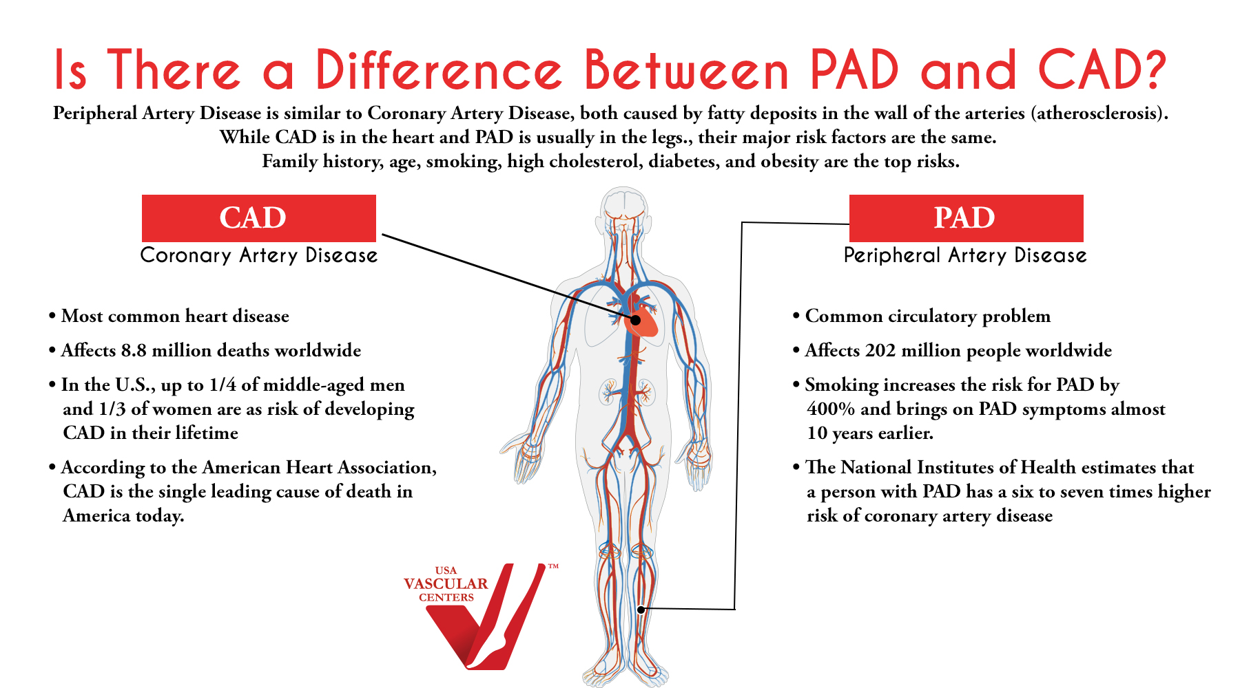 Coronary Heart Disease Vs Coronary Artery Disease USAVC