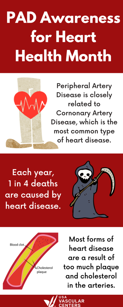 american heart health month infographic, facts about heart health