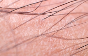 Up close picture of hair and skin on leg