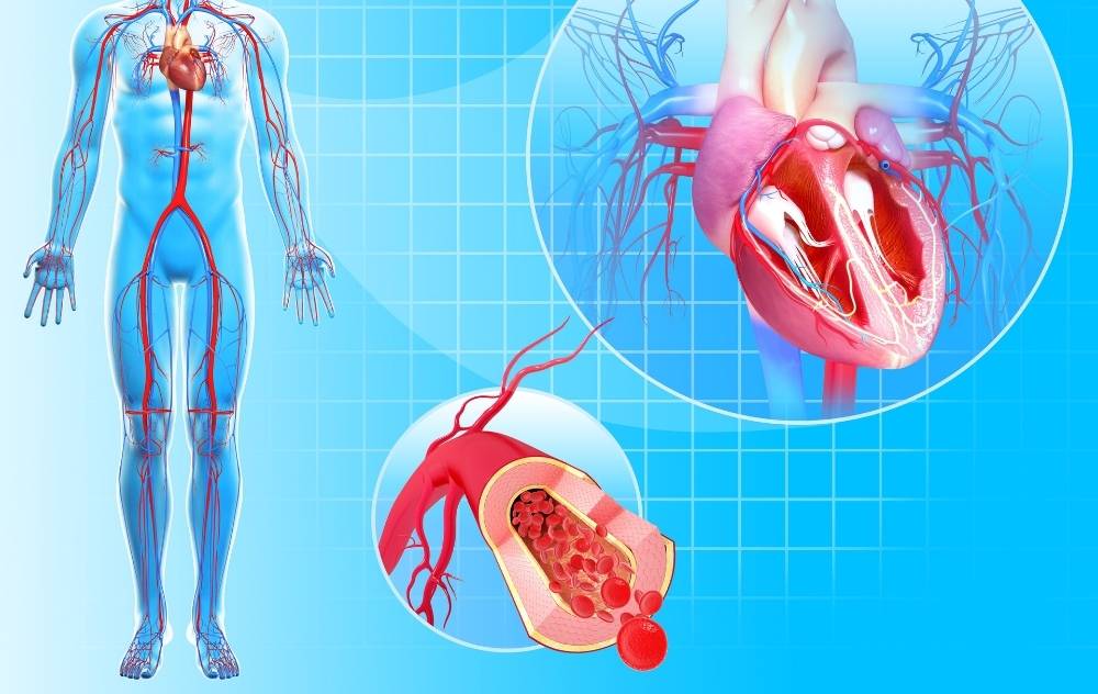 Why Am I Losing Hair On My Legs? | USA Vascular Centers Why Am I Losing Hair On My Legs? | USA Vascular Centers