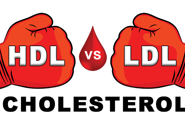 HDL vs. LDL Cholesterol: What You Should Know