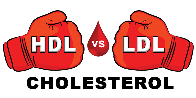 HDL vs LDL CHOLESTEROL GRAPHIC