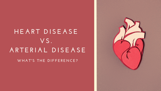 HEART DISEASE VS. ARTERIAL DISEASE blog cover