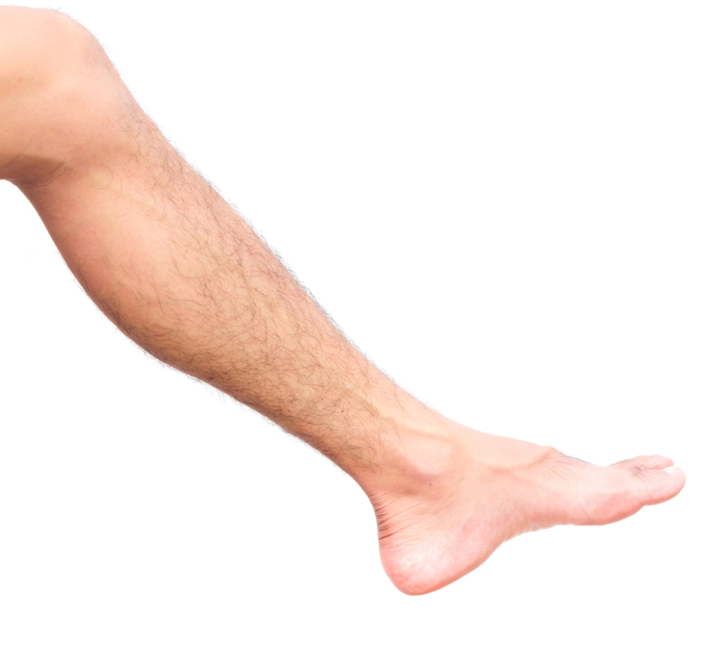 Male Hairy Legs