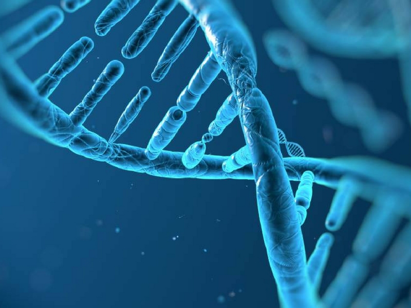 Genes Responsible For PAD