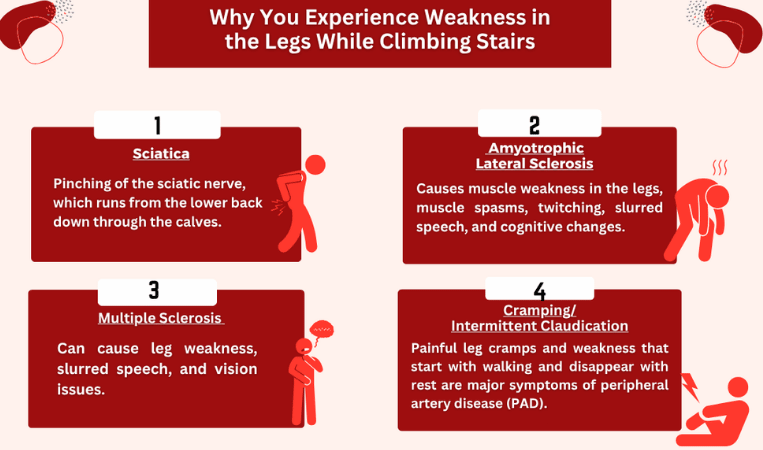 Why You Experience Weakness in the Legs while Climbing Stairs