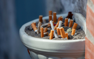 Cigarette butts disposed in a public trash pot