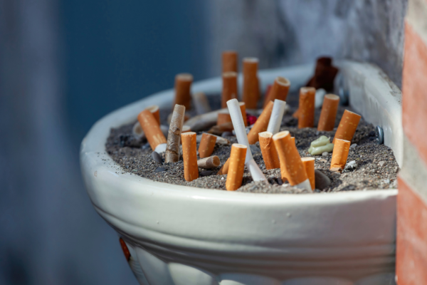 Cigarette butts disposed in a public trash pot